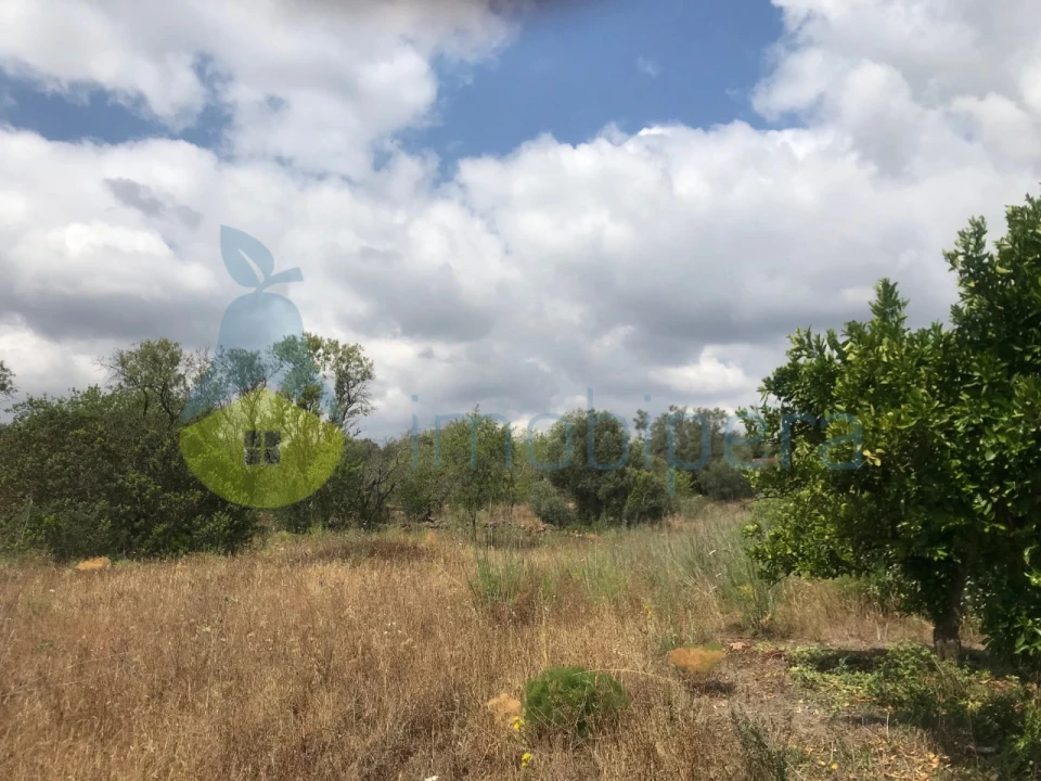 Terreno Agricola ou Rústico para Venda em São Bartolomeu de Messines Foto 2