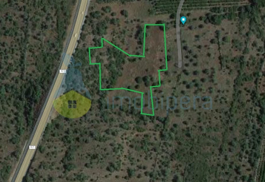 Terreno Agricola ou Rústico para Venda em São Bartolomeu de Messines Foto 4