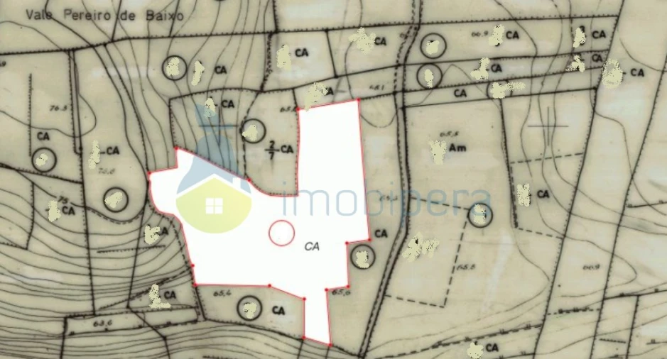 Terreno Agricola ou Rústico para Venda em São Bartolomeu de Messines Foto 3