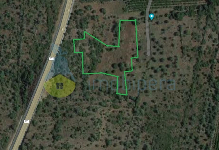 Terreno Agricola ou Rústico para Venda em São Bartolomeu de Messines Foto 4