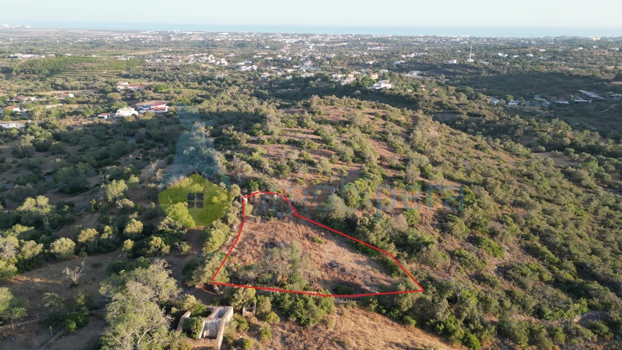 Terreno para Venda em Ferreiras Foto 1