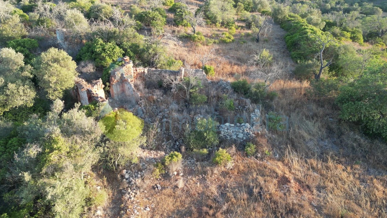 Terreno para Venda em Ferreiras Foto 2