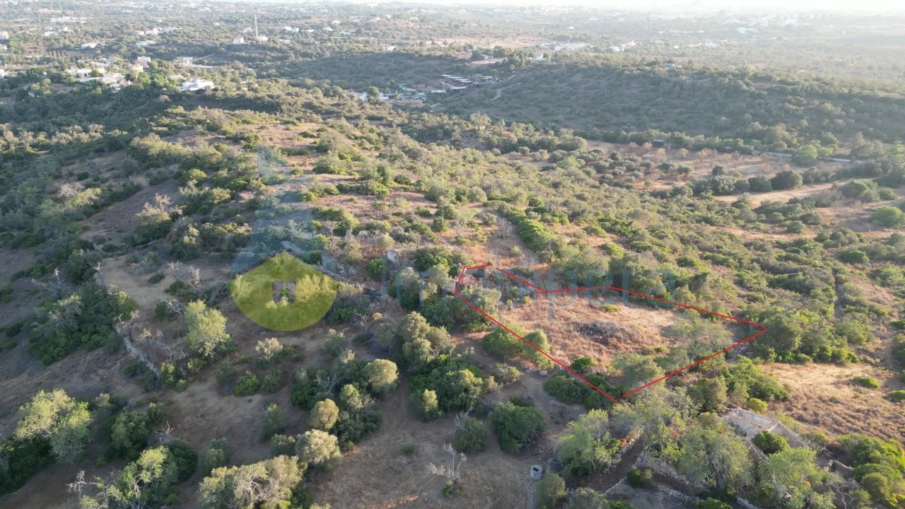 Terreno para Venda em Ferreiras Foto 3