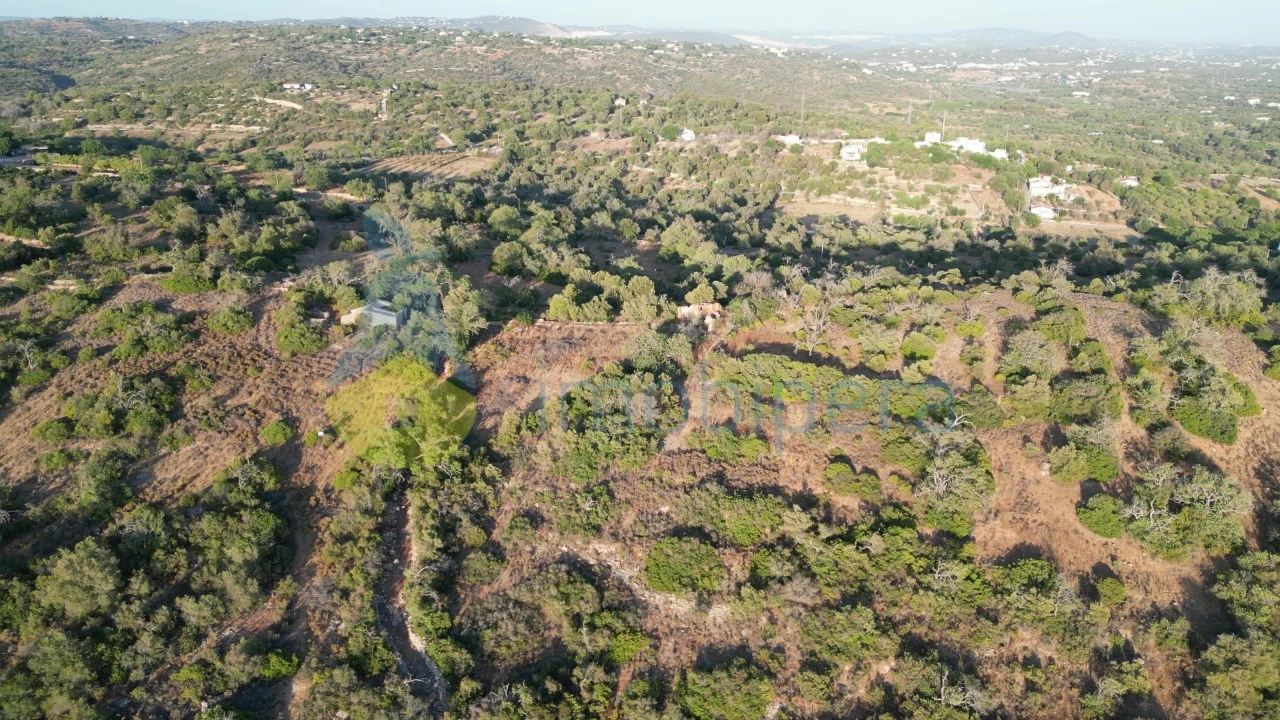Terreno para Venda em Ferreiras Foto 4