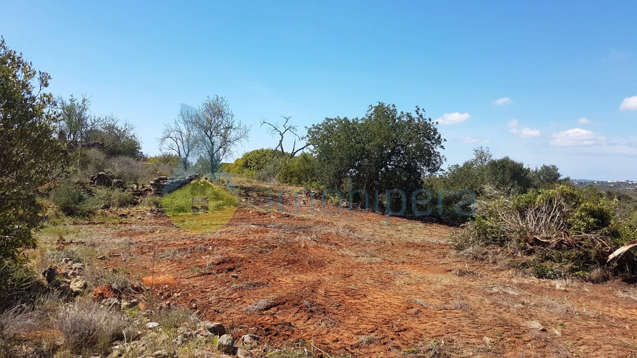 Terreno para Venda em Ferreiras Foto 7