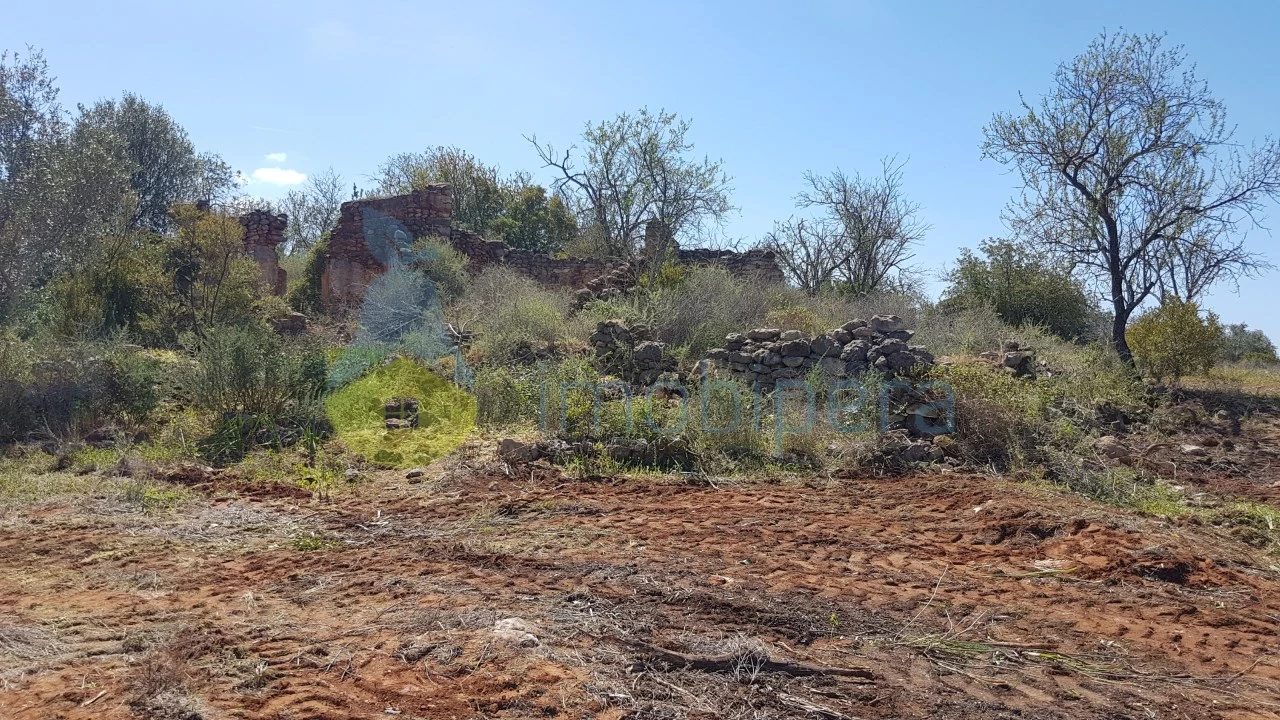 Terreno para Venda em Ferreiras Foto 9