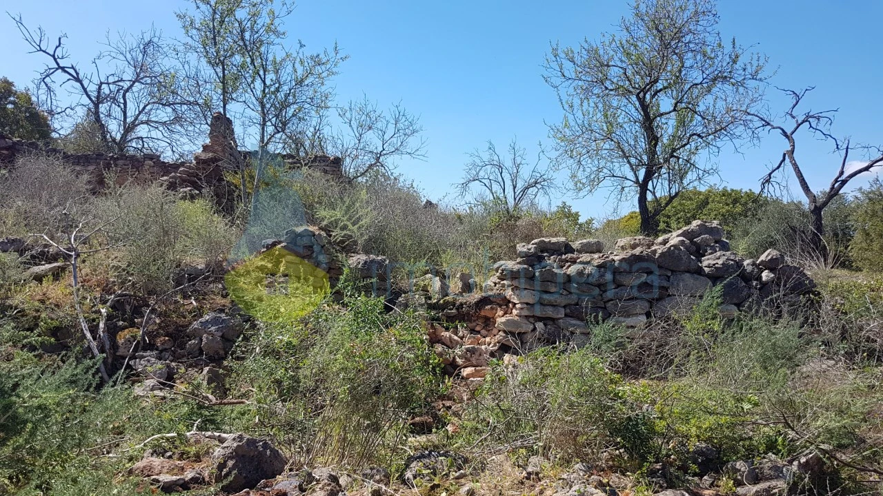 Terreno para Venda em Ferreiras Foto 11
