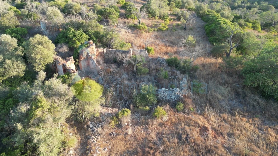Terreno para Venda em Ferreiras Foto 2