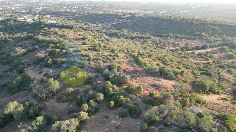Terreno para Venda em Ferreiras Foto 3