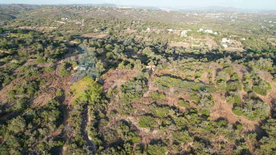Terreno para Venda em Ferreiras Foto 4