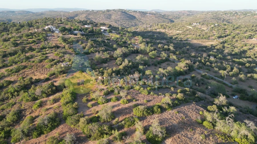 Terreno para Venda em Ferreiras Foto 5