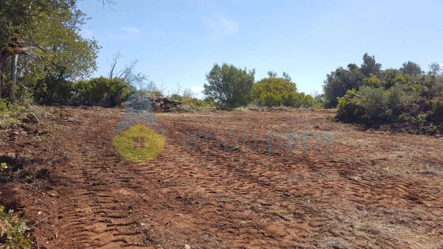 Terreno para Venda em Ferreiras Foto 6