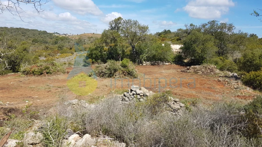 Terreno para Venda em Ferreiras Foto 14