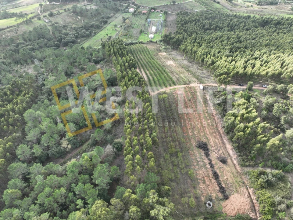 Terreno Agricola ou Rústico para Venda em Azueira e Sobral da Abelheira Foto 2