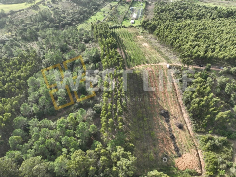 Terreno Agricola ou Rústico para Venda em Azueira e Sobral da Abelheira Foto 3