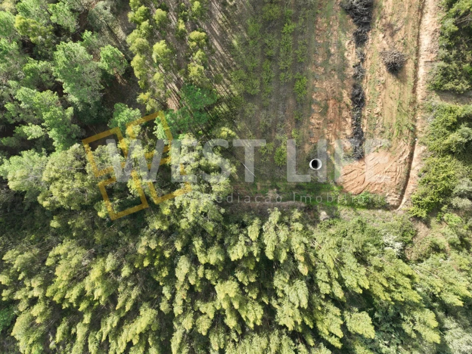 Terreno Agricola ou Rústico para Venda em Azueira e Sobral da Abelheira Foto 5