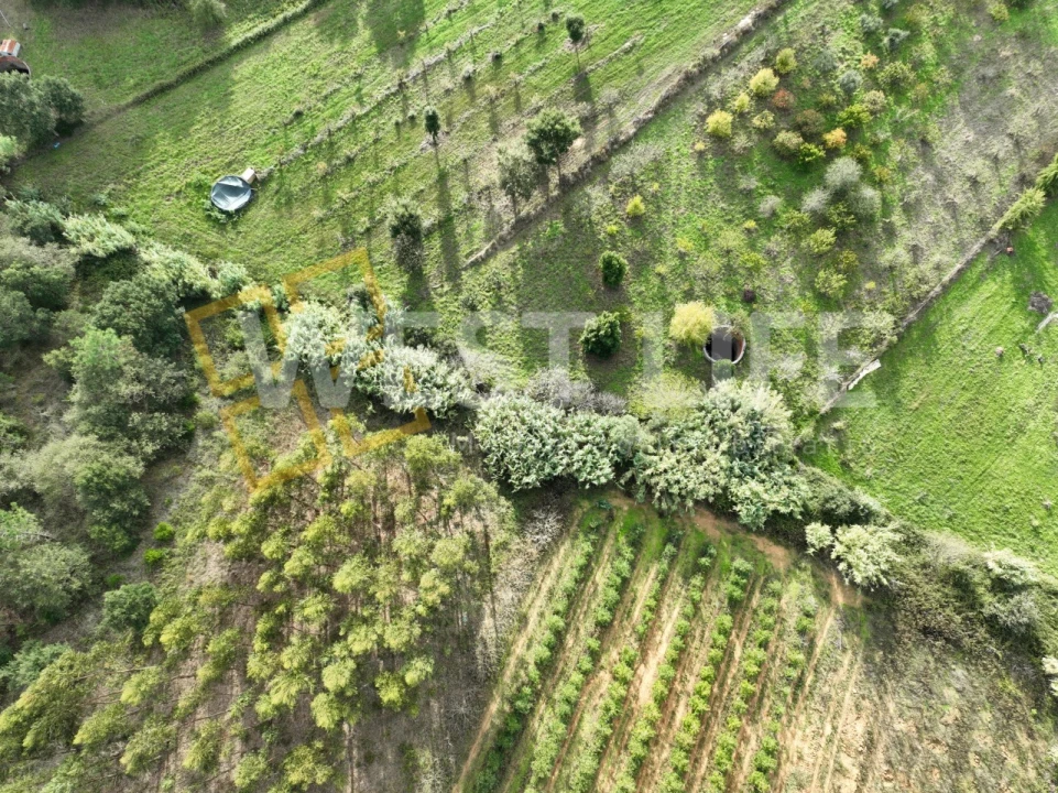 Terreno Agricola ou Rústico para Venda em Azueira e Sobral da Abelheira Foto 6