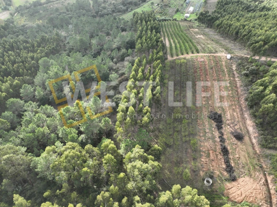 Terreno Agricola ou Rústico para Venda em Azueira e Sobral da Abelheira Foto 11