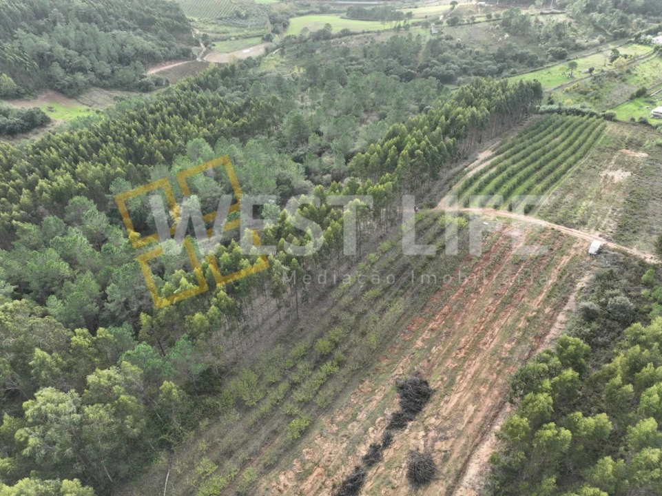Terreno Agricola ou Rústico para Venda em Azueira e Sobral da Abelheira Foto 12