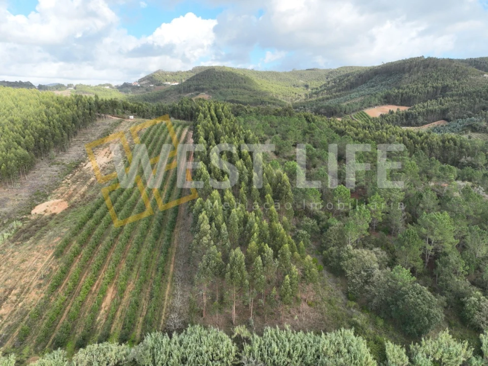 Terreno Agricola ou Rústico para Venda em Azueira e Sobral da Abelheira Foto 17