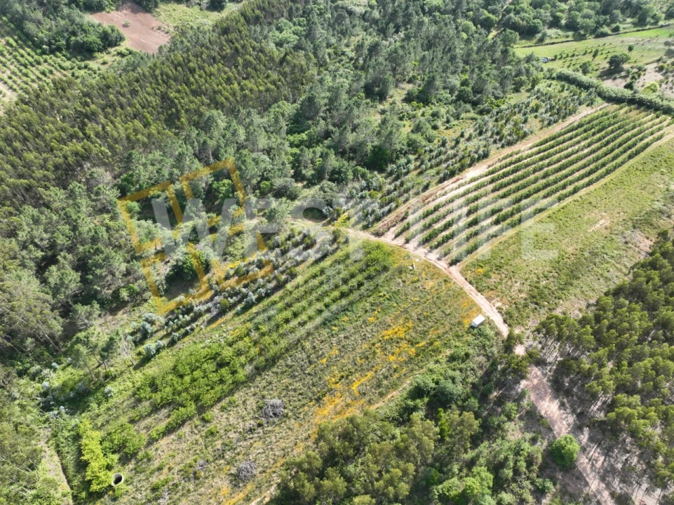 Terreno Agricola ou Rústico para Venda em Azueira e Sobral da Abelheira Foto 2