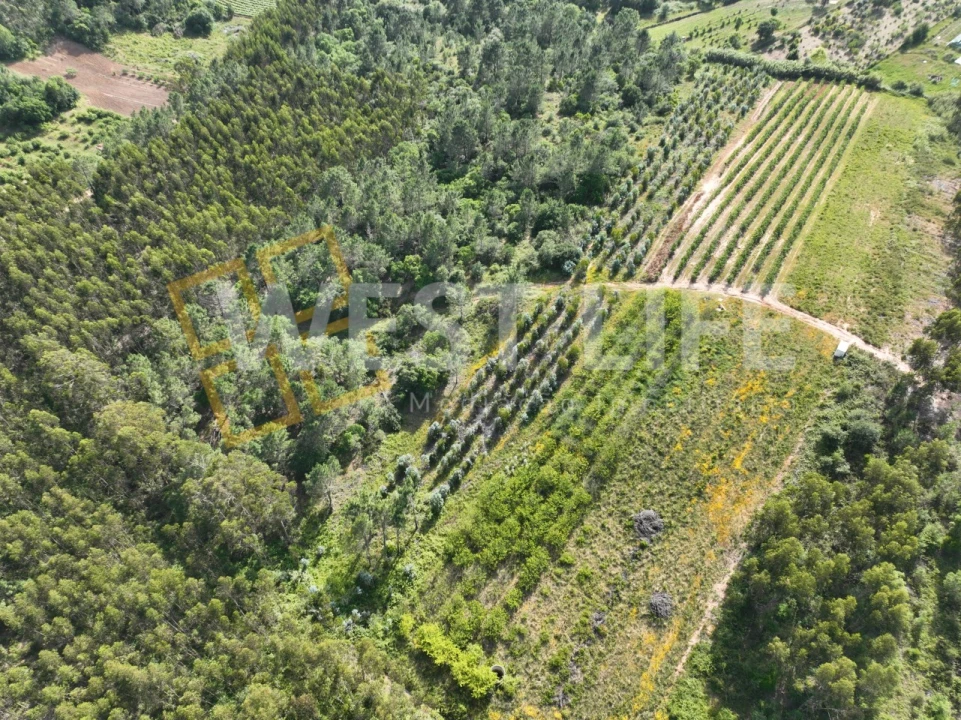 Terreno Agricola ou Rústico para Venda em Azueira e Sobral da Abelheira Foto 4