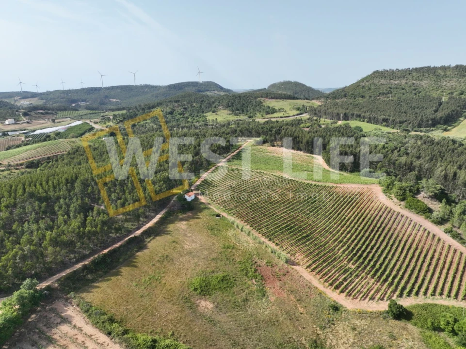 Terreno Agricola ou Rústico para Venda em Azueira e Sobral da Abelheira Foto 1