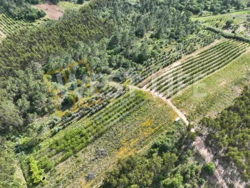 Terreno Agricola ou Rústico para Venda em Azueira e Sobral da Abelheira