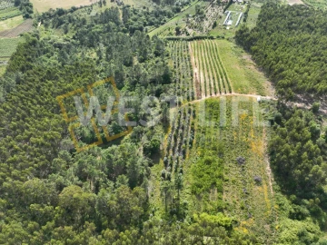 Terreno Agricola ou Rústico para Venda em Azueira e Sobral da Abelheira