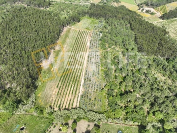 Terreno Agricola ou Rústico para Venda em Azueira e Sobral da Abelheira