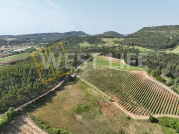 Terreno Agricola ou Rústico para Venda em Azueira e Sobral da Abelheira