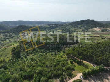 Terreno Agricola ou Rústico para Venda em Azueira e Sobral da Abelheira