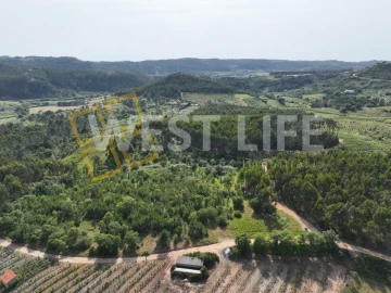Terreno Agricola ou Rústico para Venda em Azueira e Sobral da Abelheira