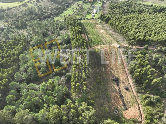 Terreno Agricola ou Rústico para Venda em Azueira e Sobral da Abelheira Foto 3