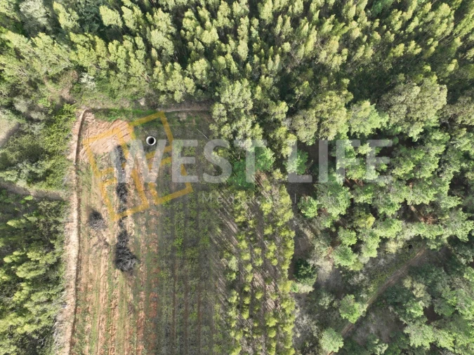 Terreno Agricola ou Rústico para Venda em Azueira e Sobral da Abelheira Foto 4