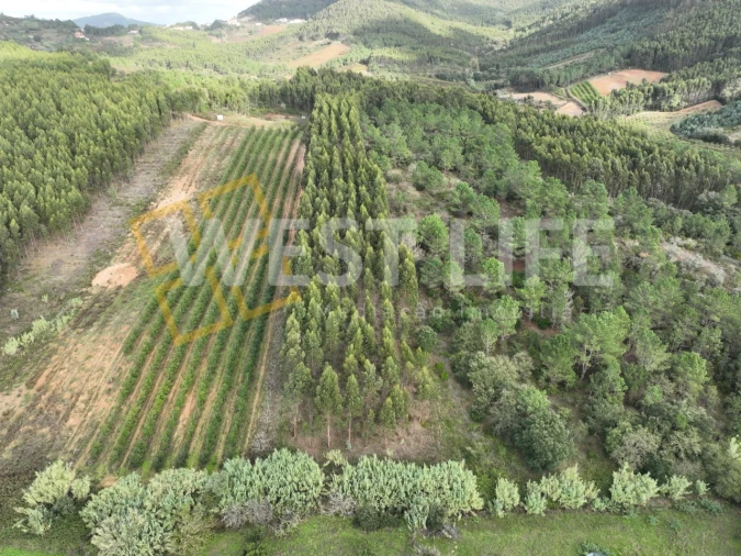 Terreno Agricola ou Rústico para Venda em Azueira e Sobral da Abelheira