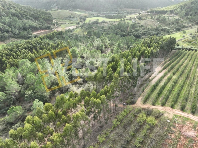 Terreno Agricola ou Rústico para Venda em Azueira e Sobral da Abelheira Foto 15