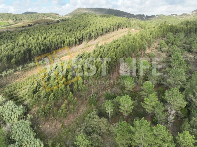 Terreno Agricola ou Rústico para Venda em Azueira e Sobral da Abelheira Foto 18