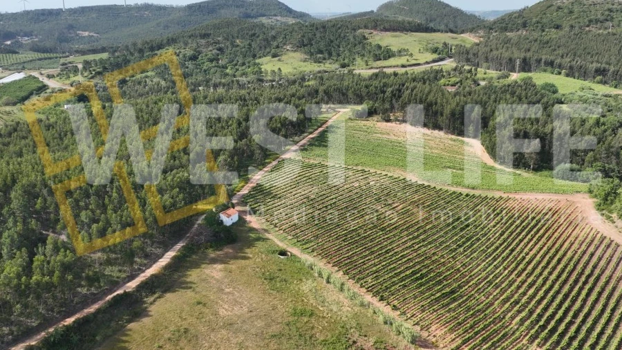 Terreno Agricola ou Rústico para Venda em Azueira e Sobral da Abelheira