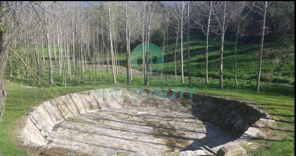 Quinta T6 para Venda em Redondelo Foto 47