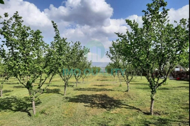 Quinta T6 para Venda em Redondelo Foto 46