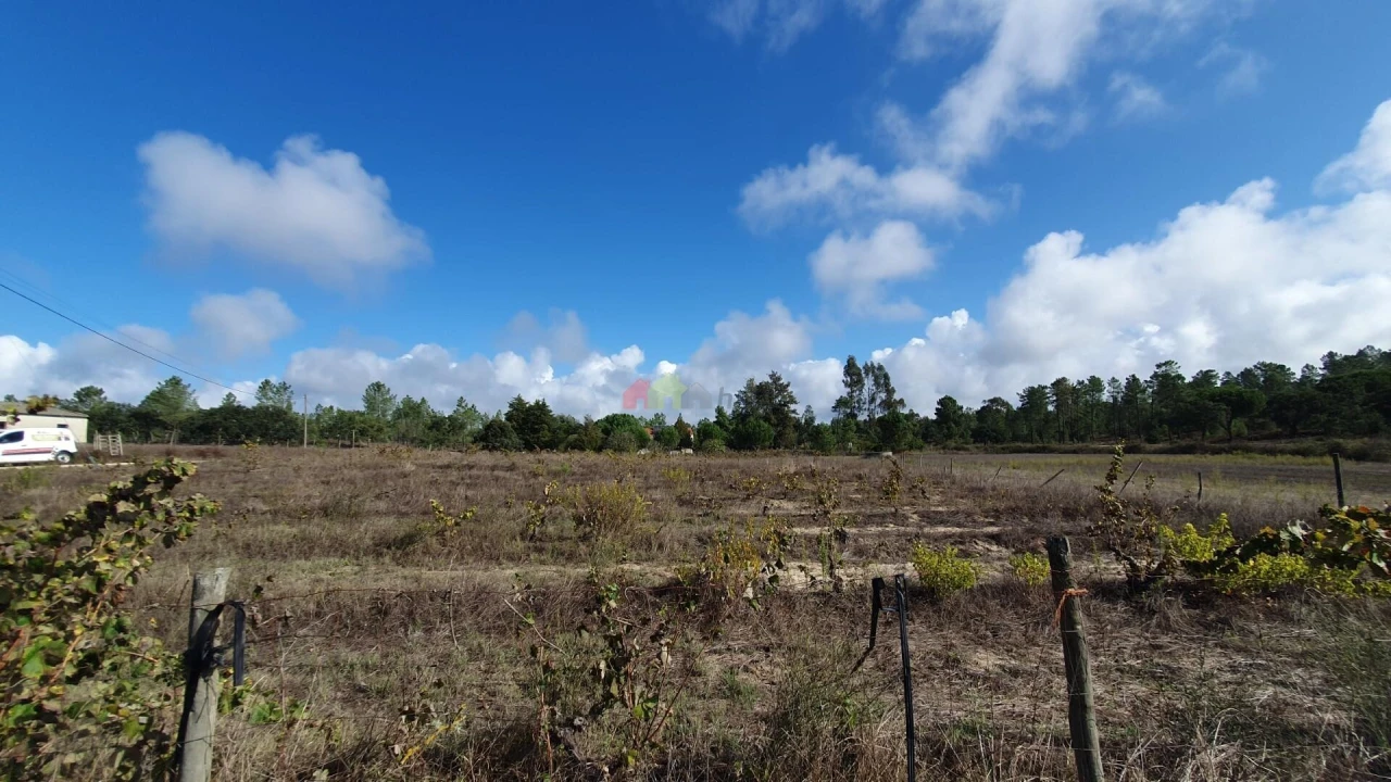 Terreno para Venda em Cortiçadas de Lavre e Lavre Foto 81
