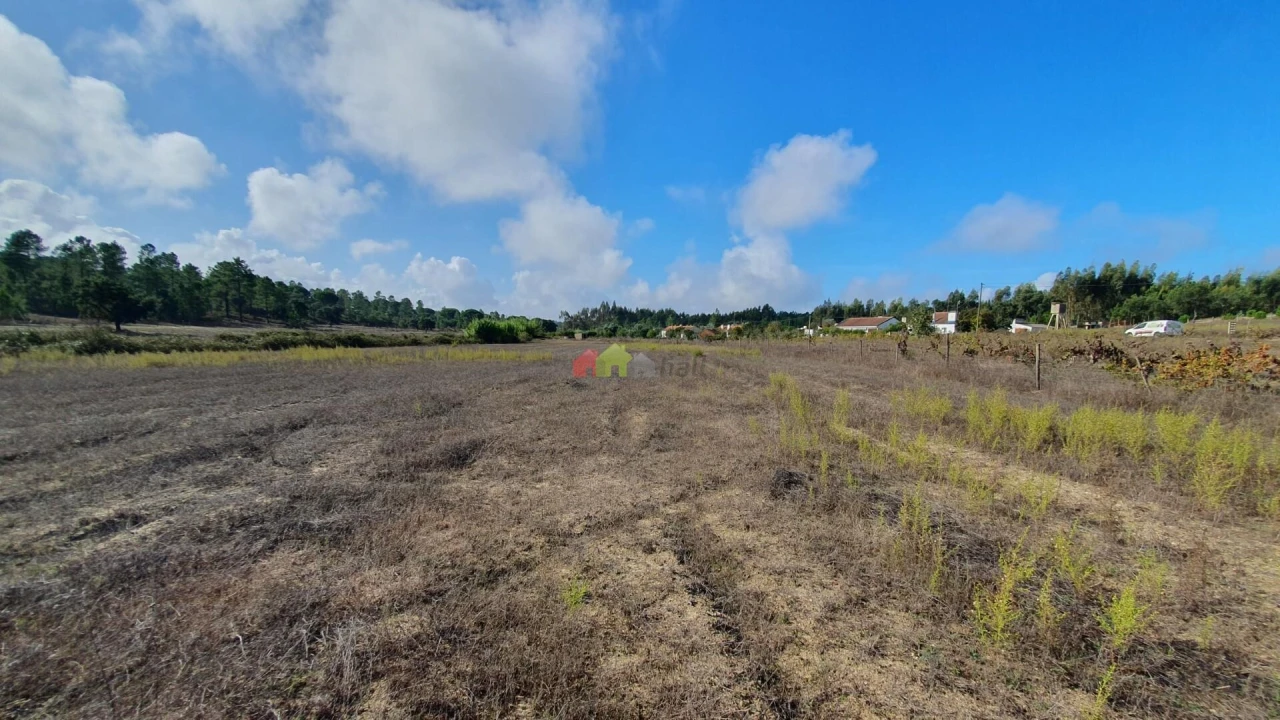 Terreno para Venda em Cortiçadas de Lavre e Lavre Foto 74