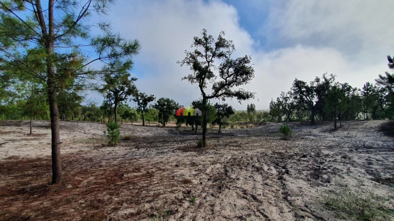 Terreno para Venda em Cortiçadas de Lavre e Lavre Foto 33