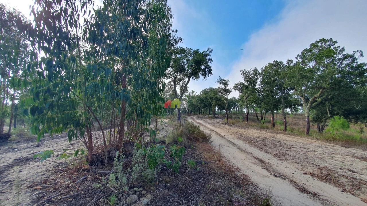 Terreno para Venda em Cortiçadas de Lavre e Lavre Foto 37