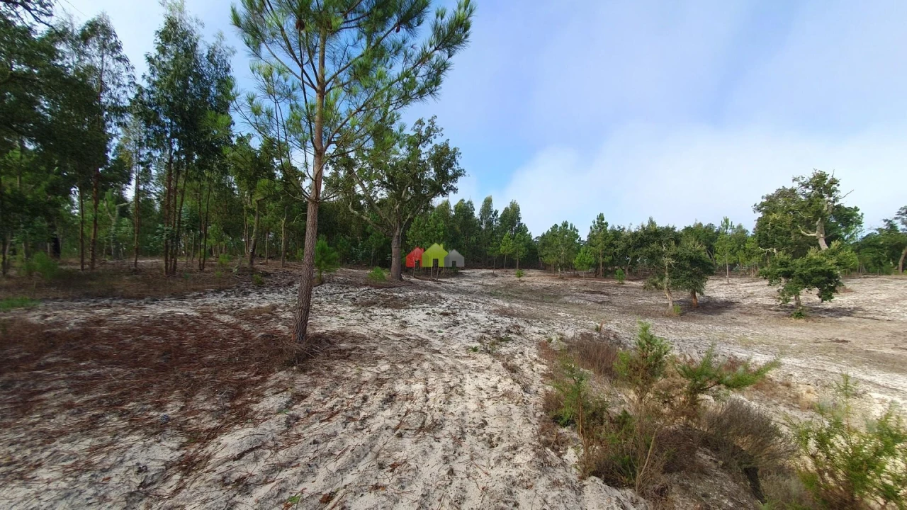 Terreno para Venda em Cortiçadas de Lavre e Lavre Foto 25
