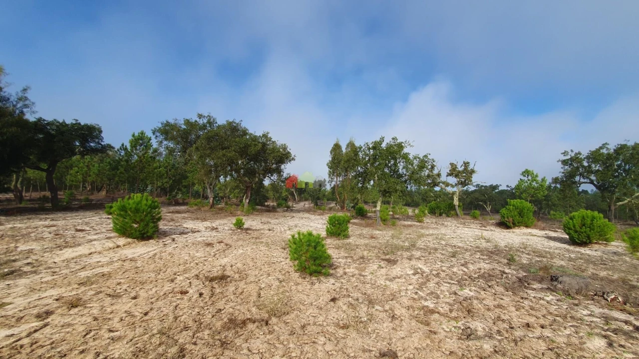 Terreno para Venda em Cortiçadas de Lavre e Lavre Foto 18