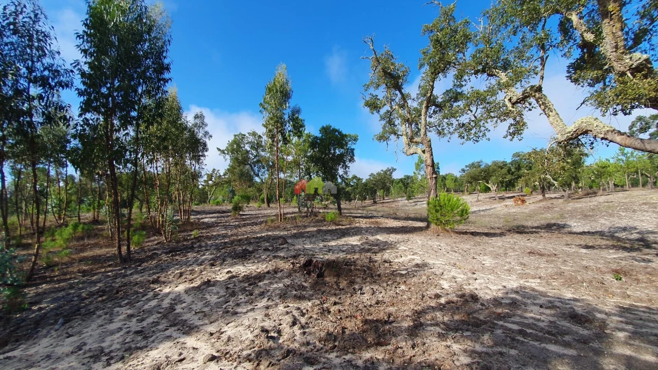 Terreno para Venda em Cortiçadas de Lavre e Lavre Foto 49