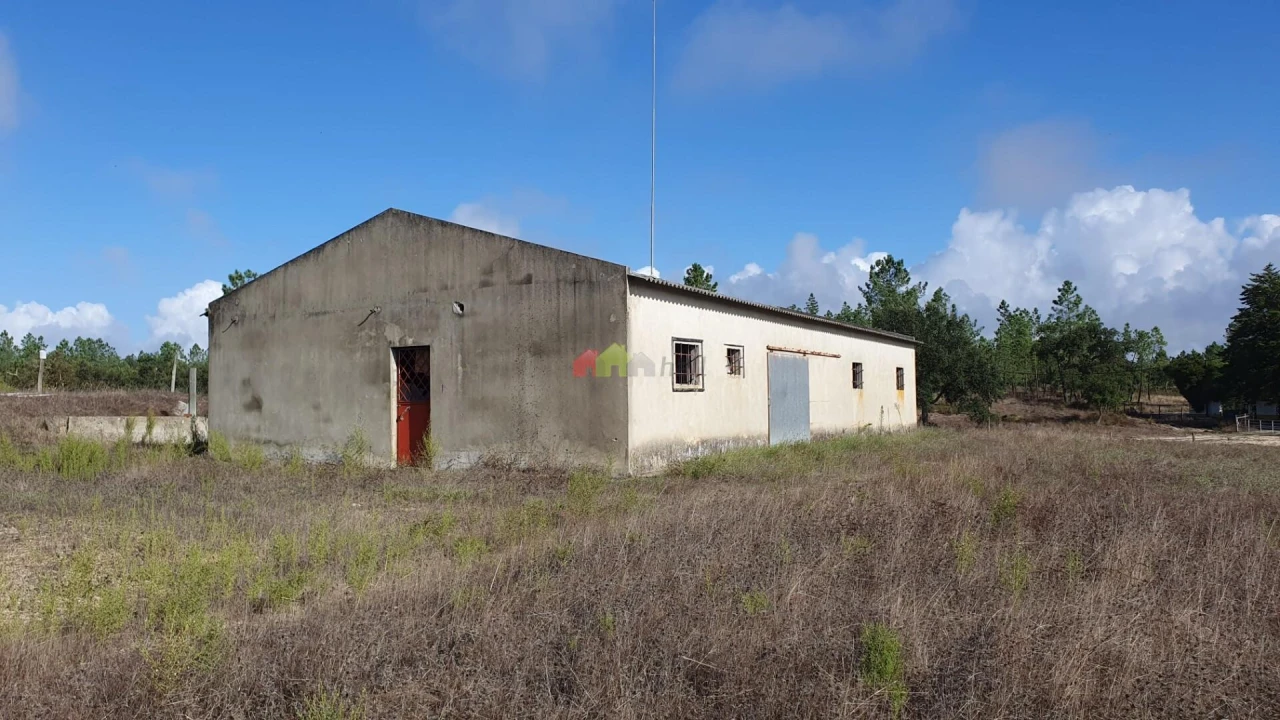 Terreno para Venda em Cortiçadas de Lavre e Lavre Foto 1