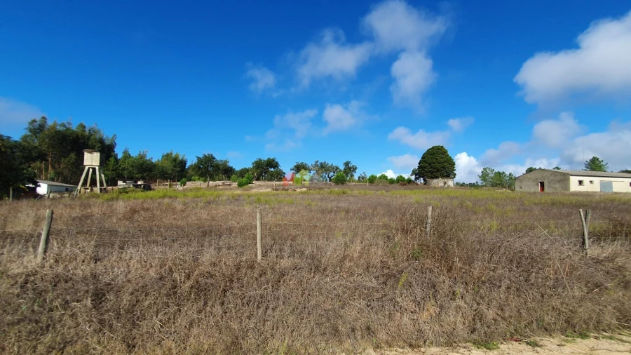 Terreno para Venda em Cortiçadas de Lavre e Lavre Foto 83